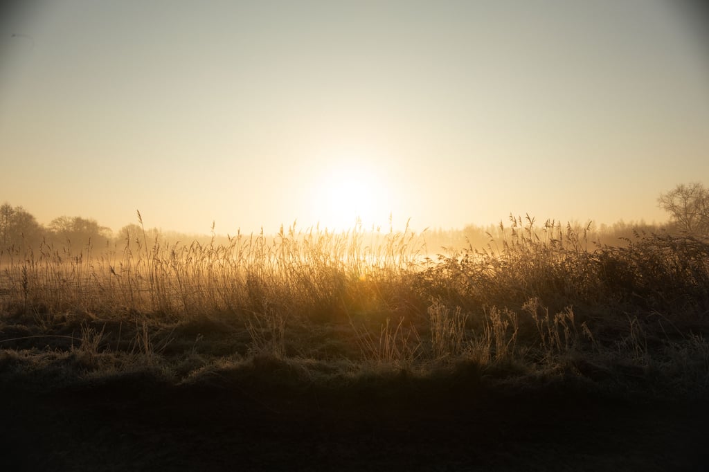 Buiten winter