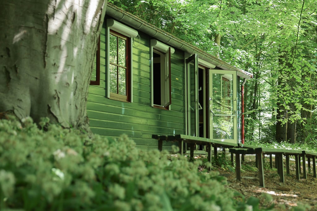 Voorzijde Vogeleiland