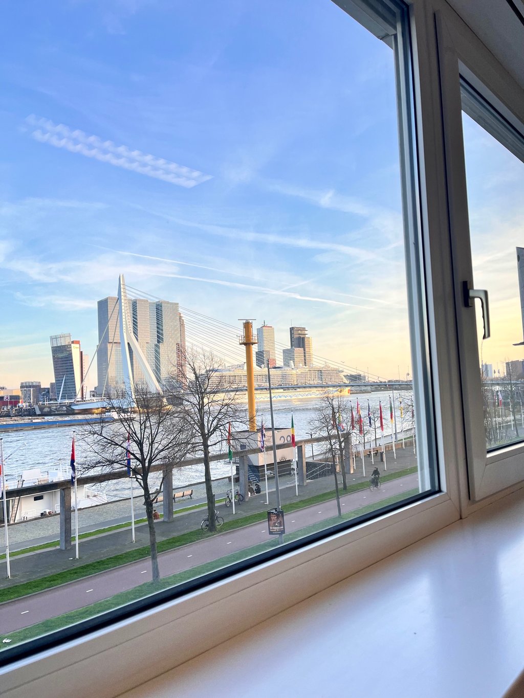 The Happy Flow - Uitzicht Erasmusbrug