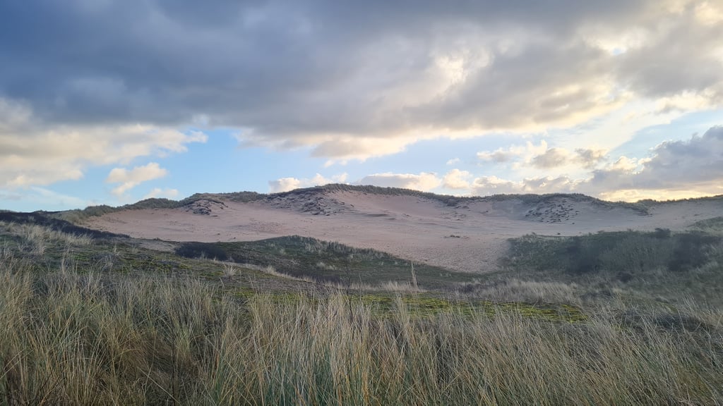 Duinen