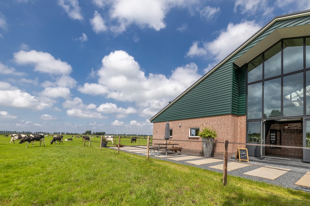 Vergaderen in de wei 