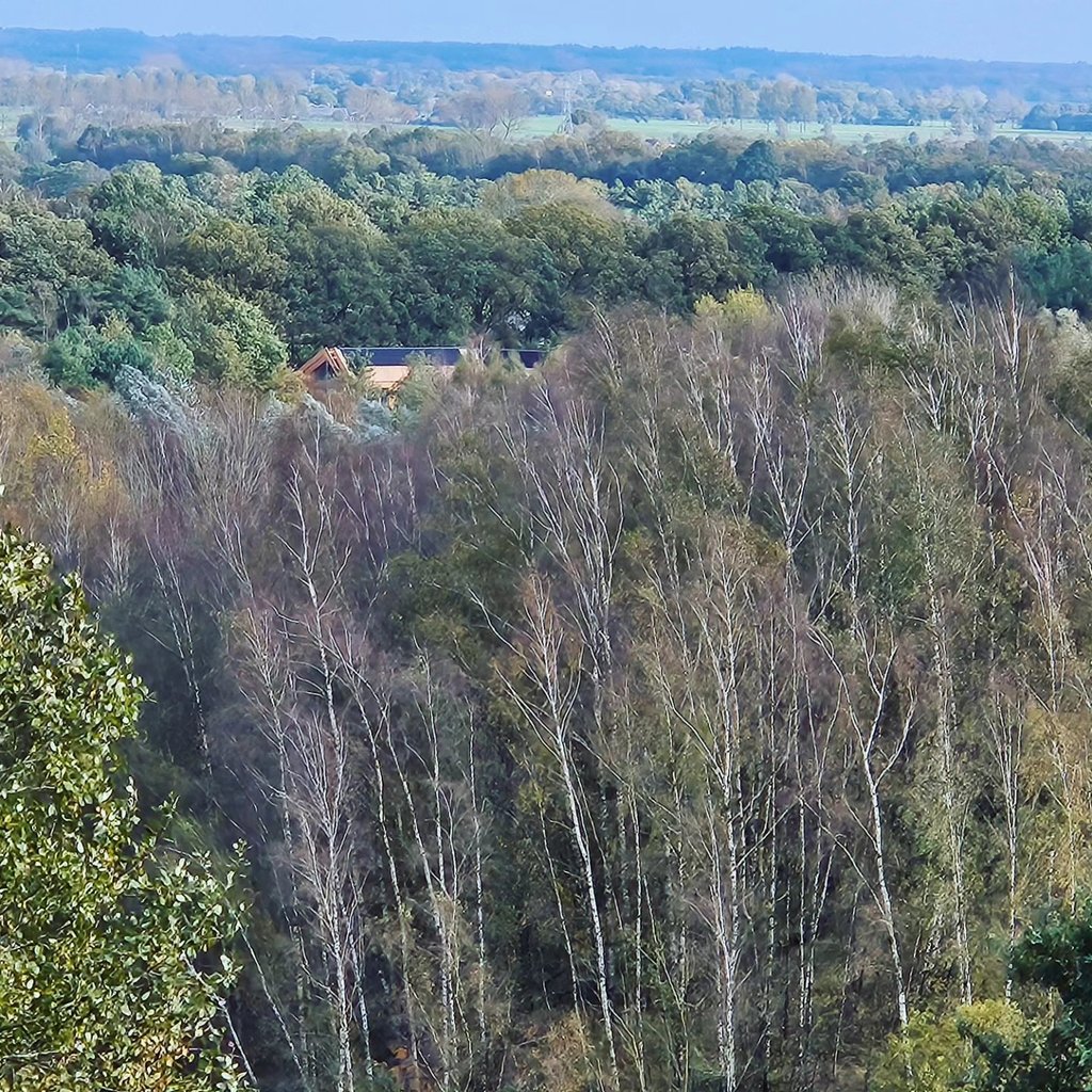 House of Bird in het bos