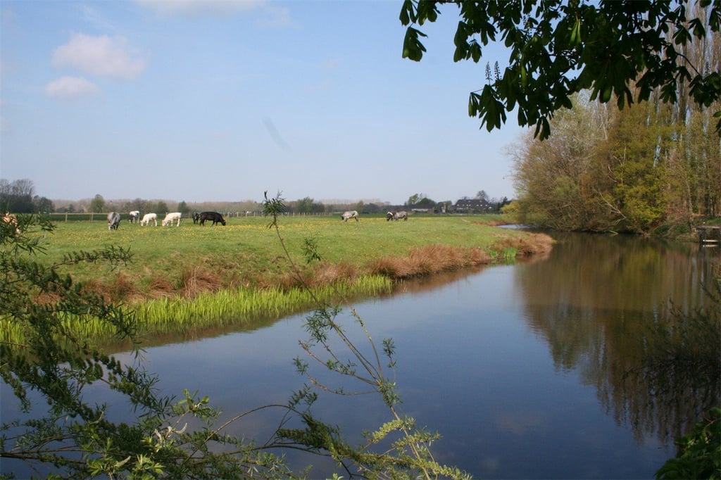 De Ruwenberg Hotel  Meetings Events - St. Michielsgestel47.jpg