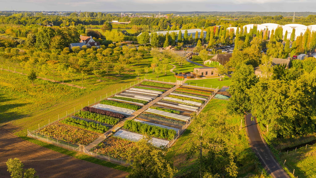 Moestuin met bijgelegen schuur