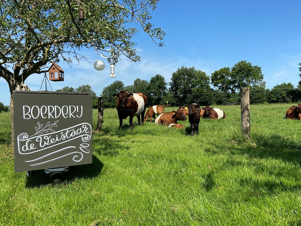 Boerderij De Weistaar - buiten (11).jpg