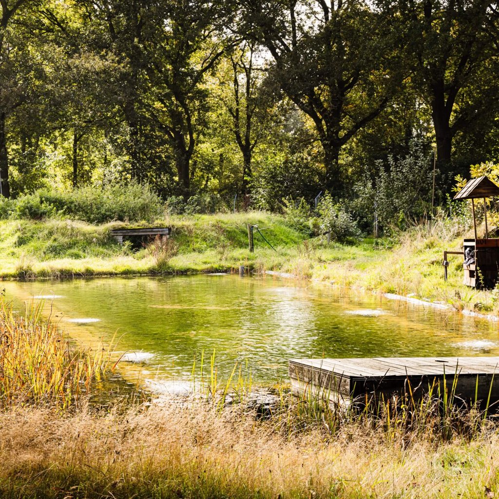 Zwemvijver Plek onder de Bomen