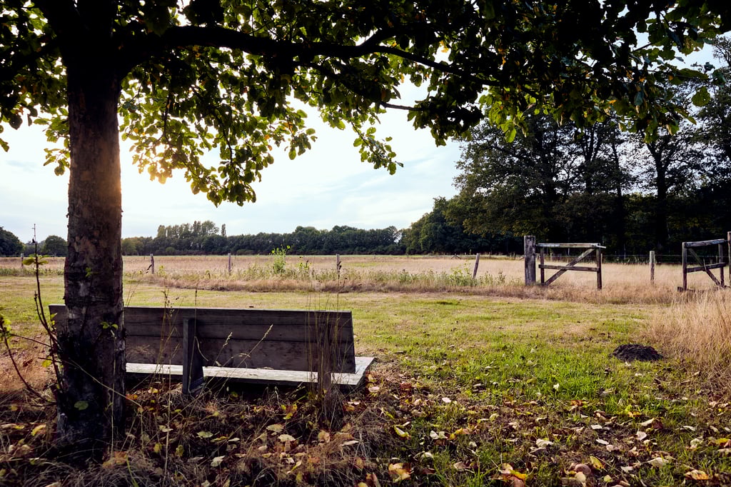 The place to be0897.jpg