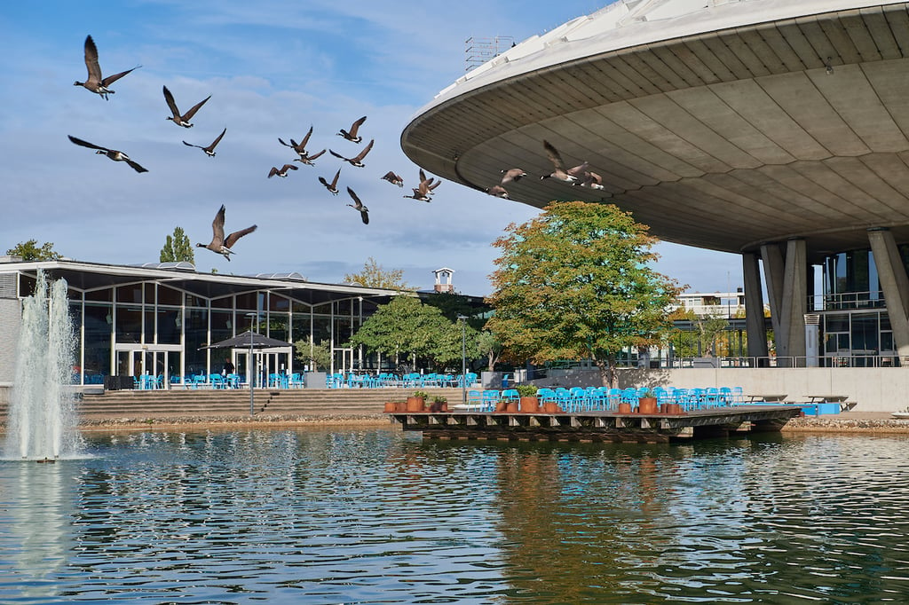 Evoluon buitenterras 