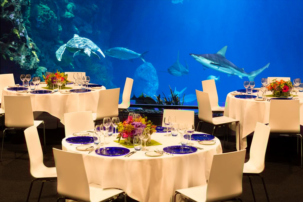 Haaienzaal-diner