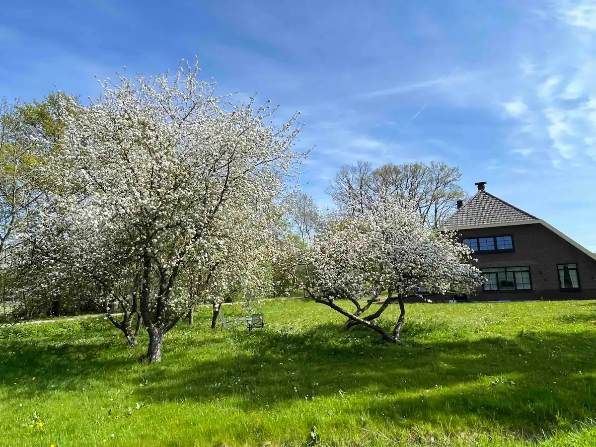 vooraanzicht boerderij 