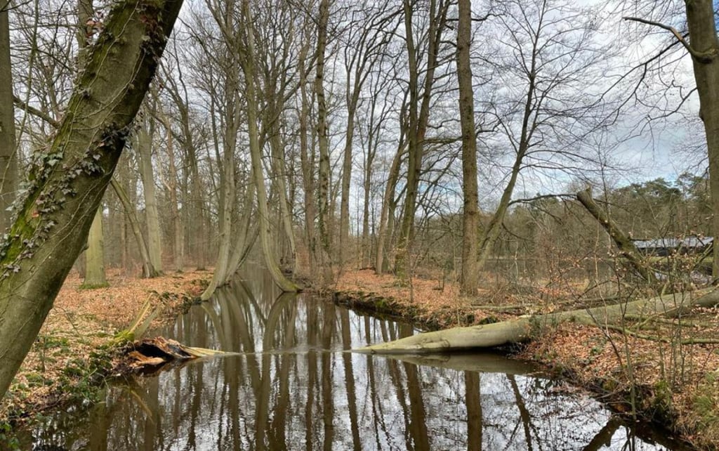 Natuurschoon in de buurt van de boerderij op het landgoed Twickel 