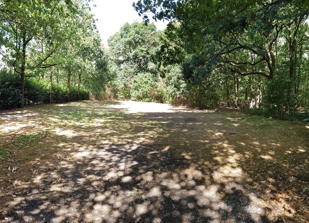 Zuidveld 1 (circa 15x 30 meter).jpg