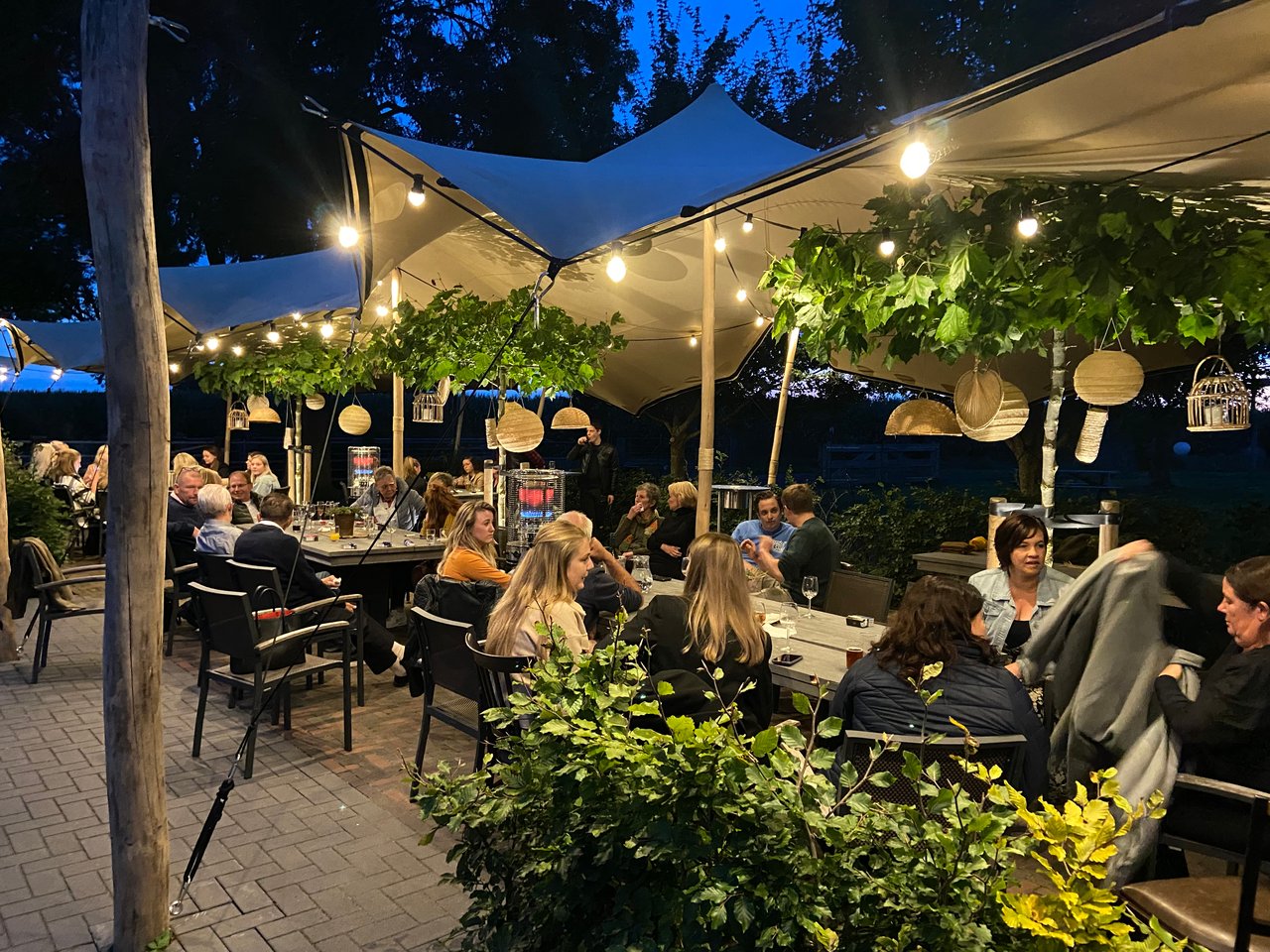 Terras