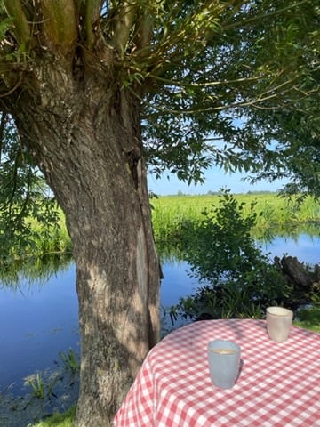 Koffie onder de wilgen