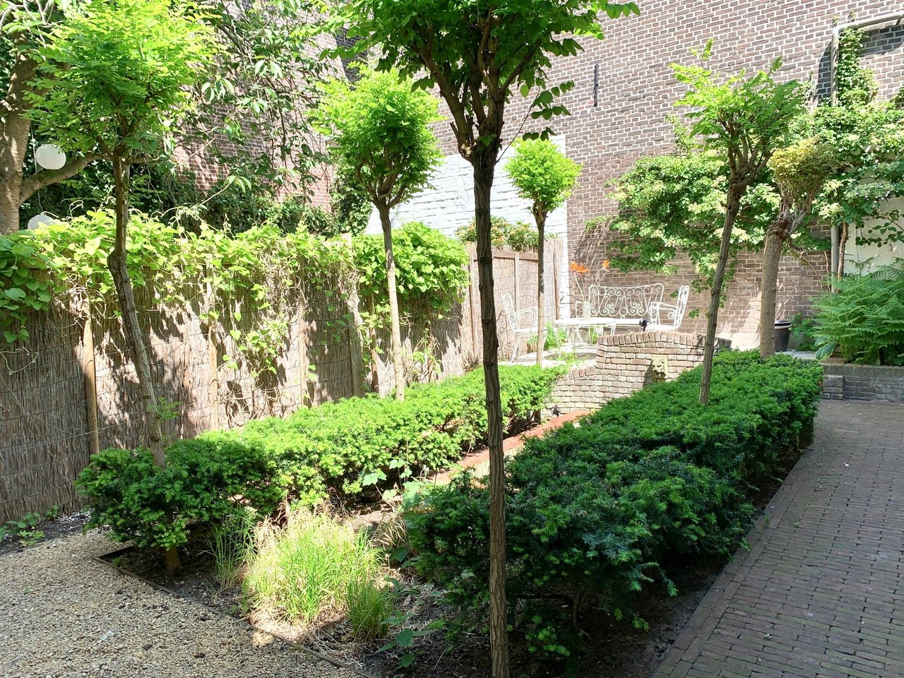 Tuin.jpg