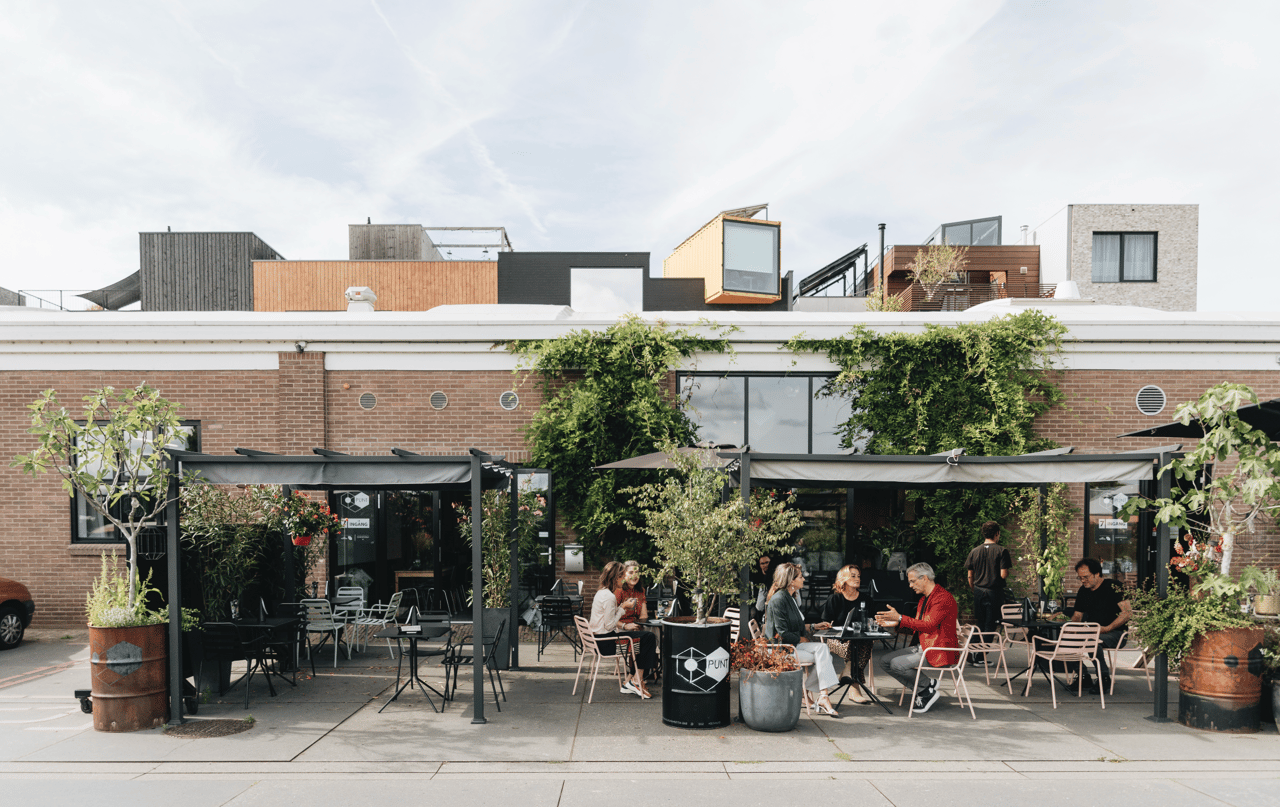 Terras PUNT
