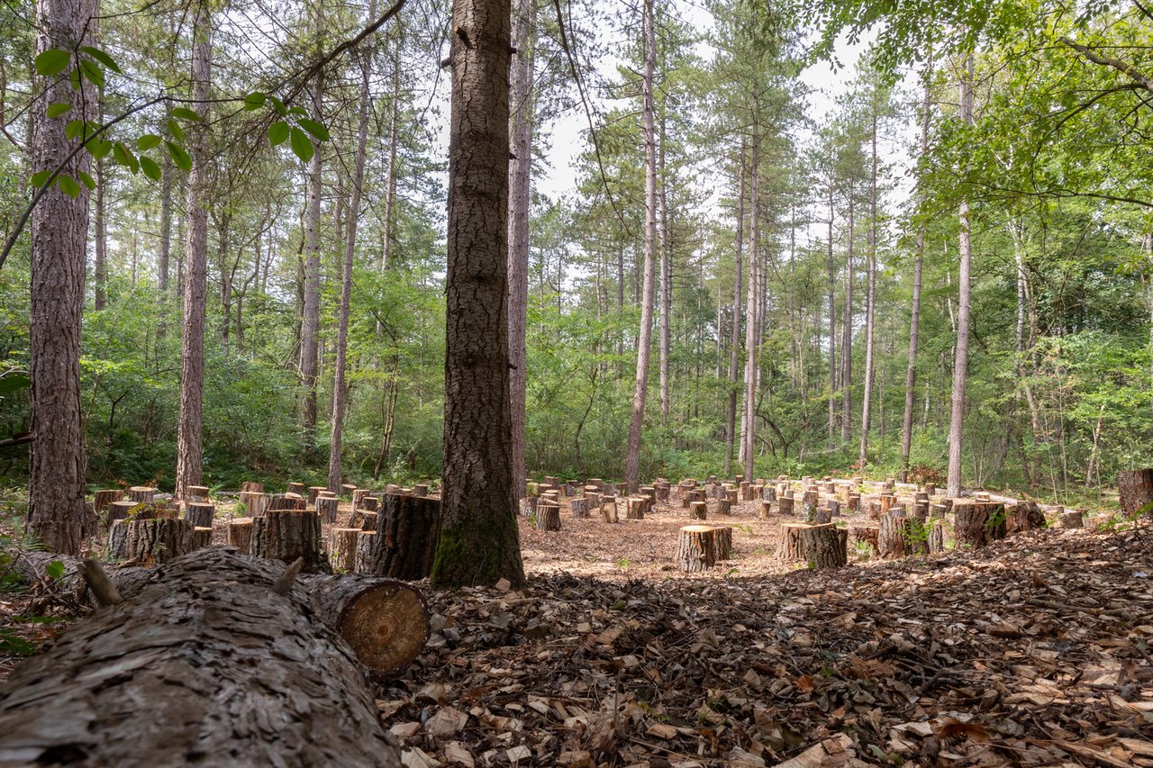 fv-vuursche-0825-22-kl.jpg