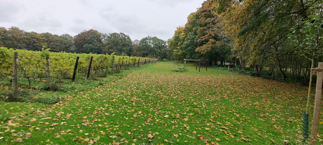 Zicht vanuit de vergaderlocatie