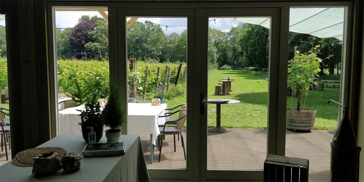 Met uitzicht op de wijngaard