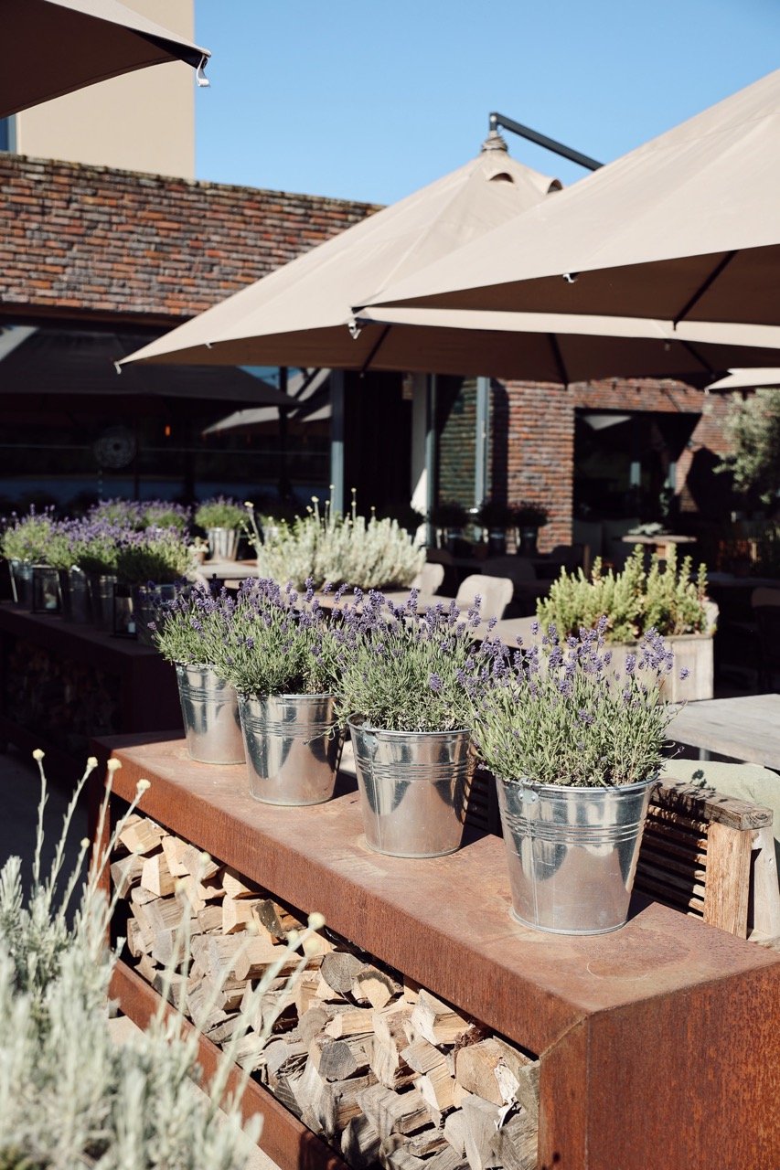 Zonnig terras met warme en natuurlijke uitstraling