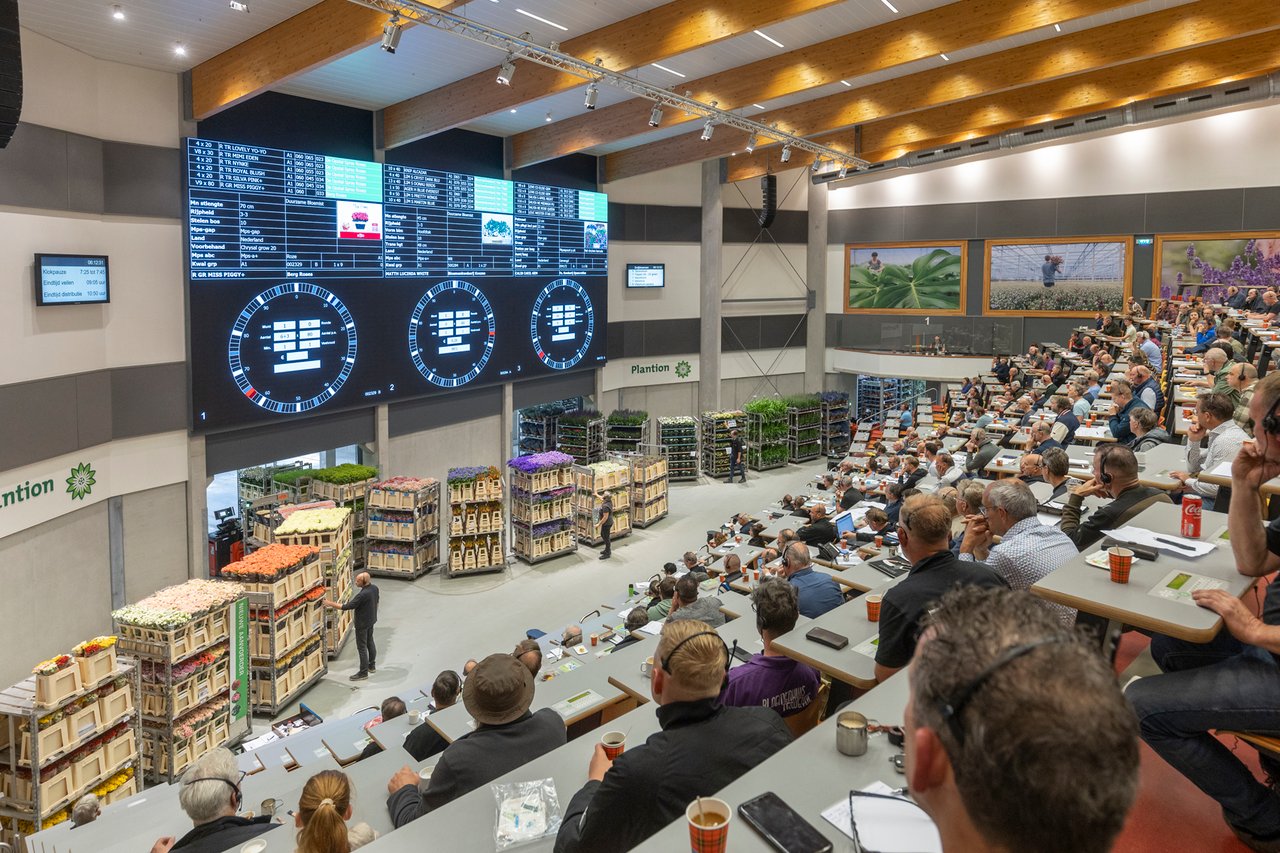 Afmijnzaal Plantion