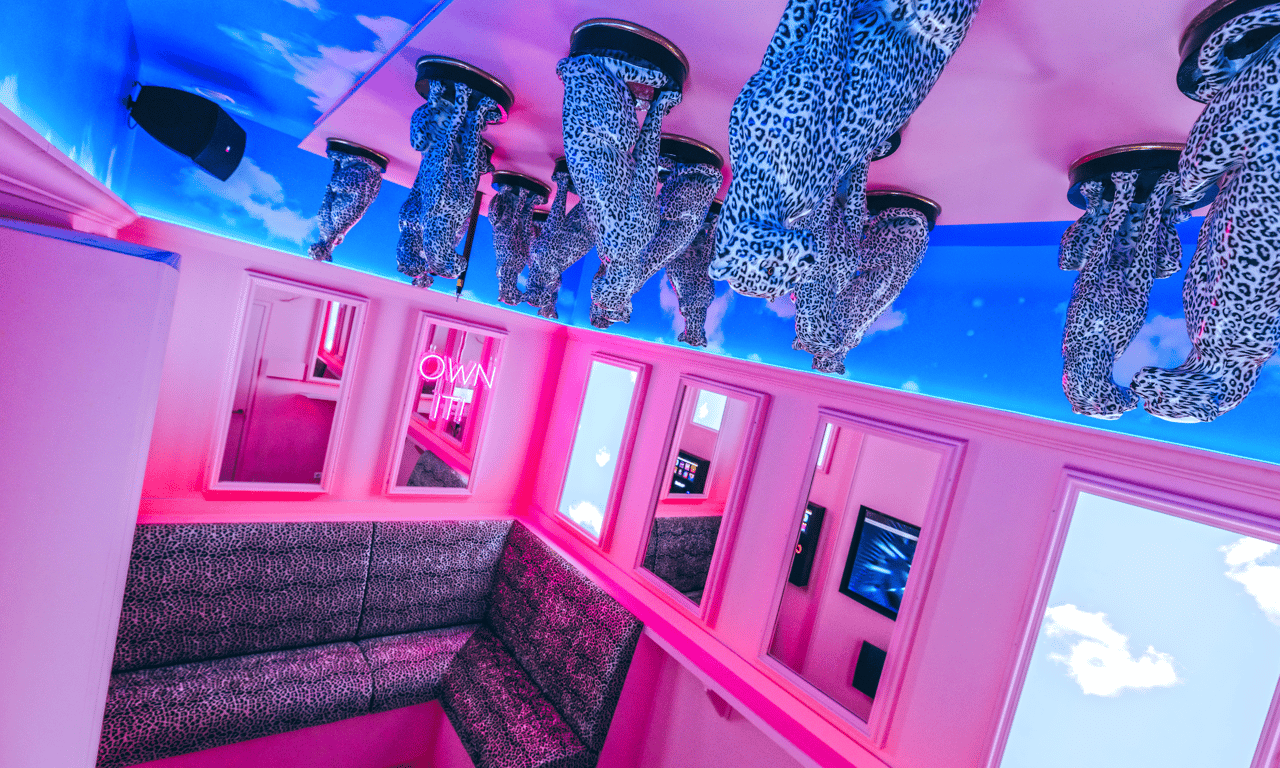 Karaoke kamer cheetah thema
