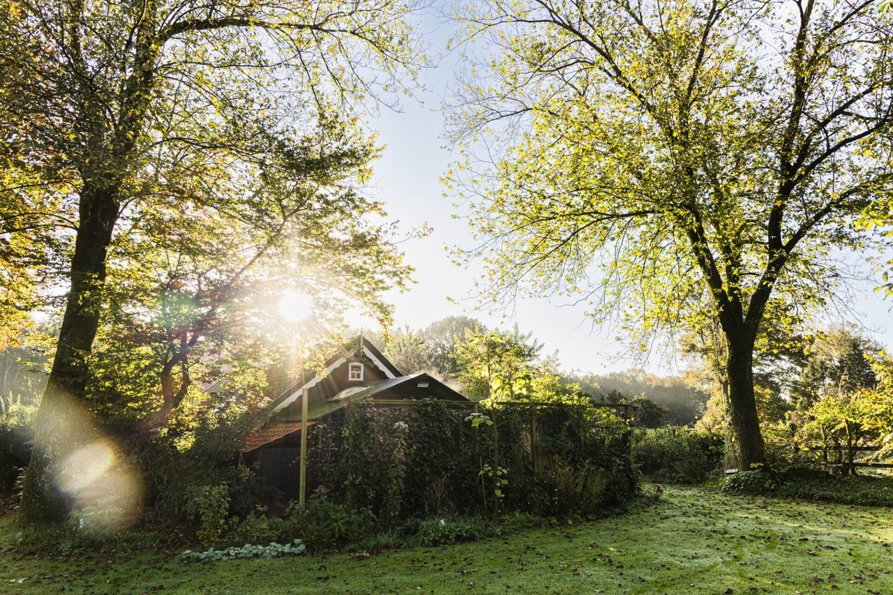 Zomerhuis bij plek onder de bomen.jpg
