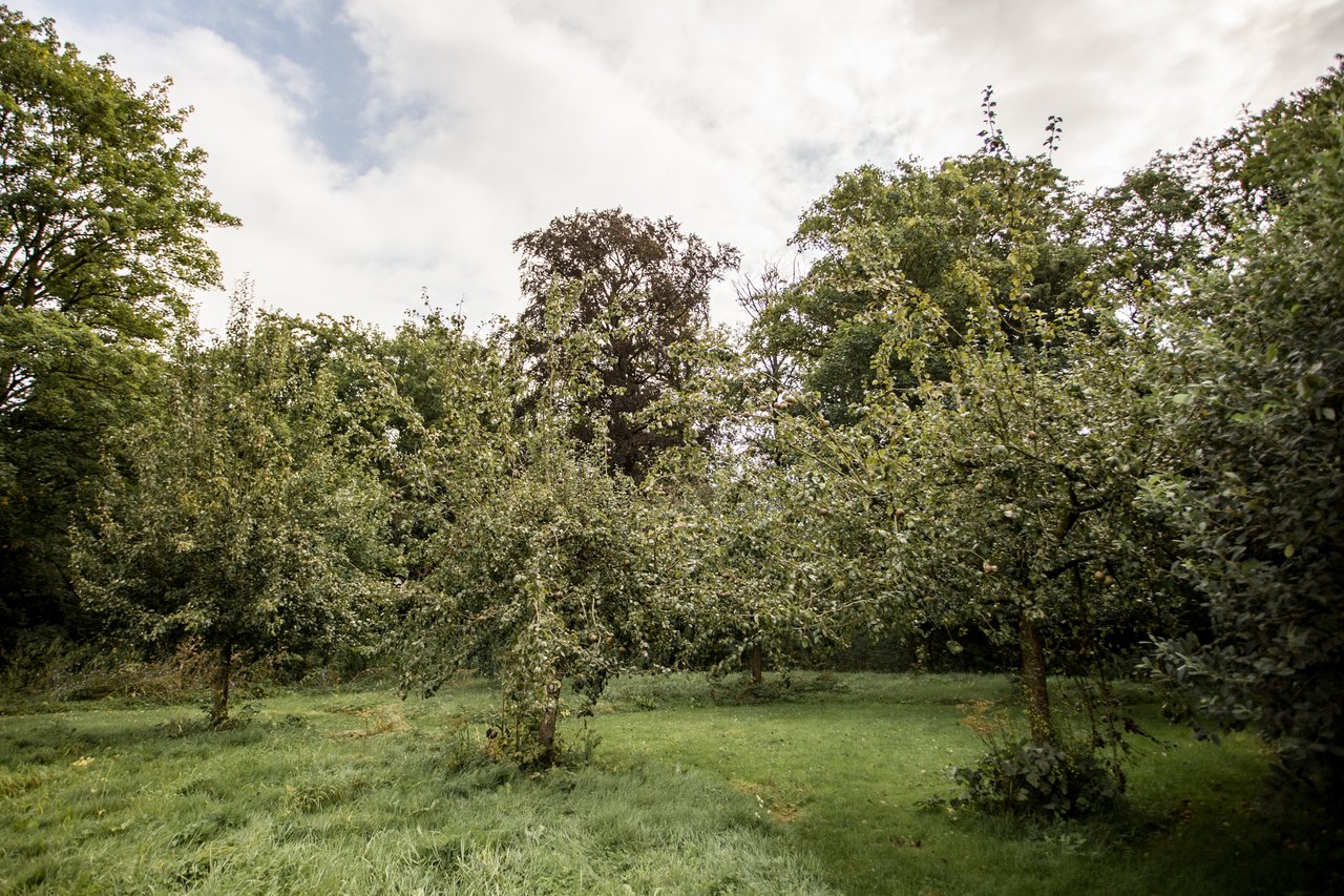 Bestelling landgoed Loenen deel 1- web resolutie-79.jpg