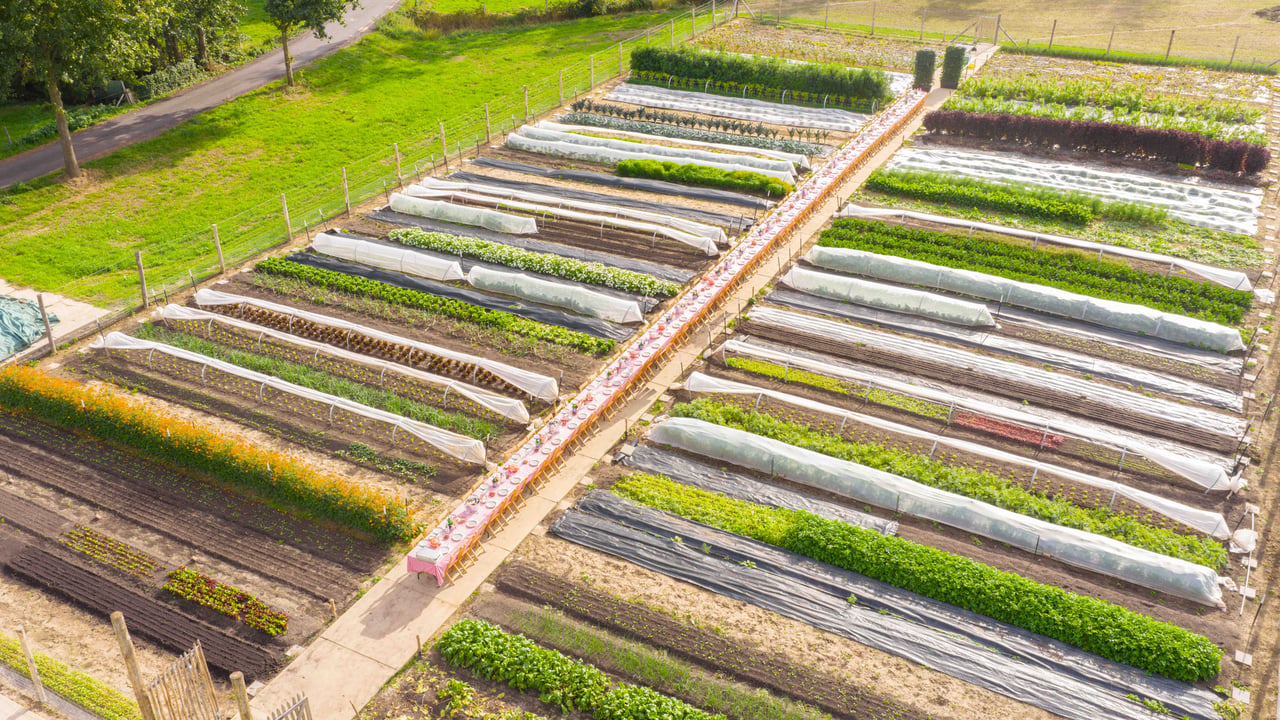 Sit-down diner in de moestuin