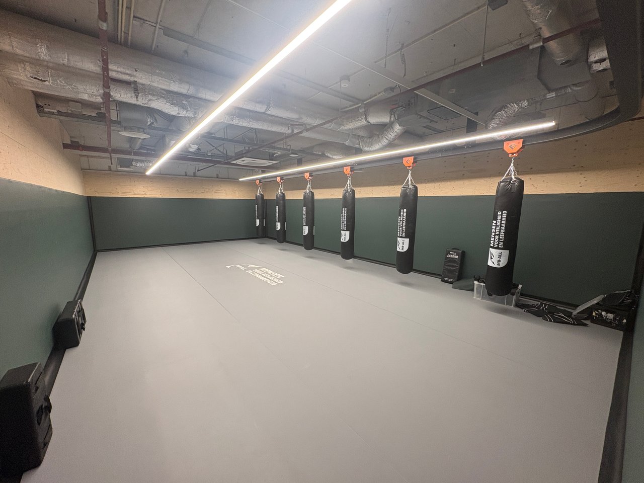 Dojo 1.JPG