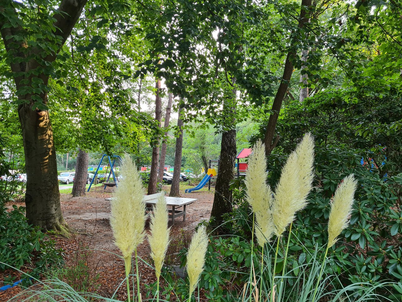 Speeltuintje West
