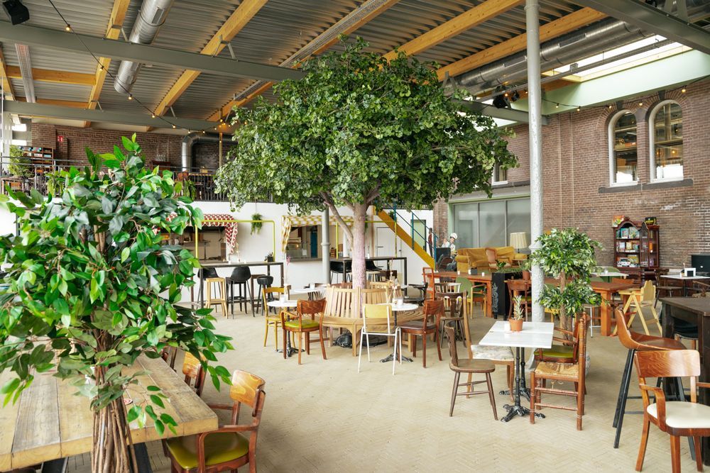 Frans borrelplein met fruitboom