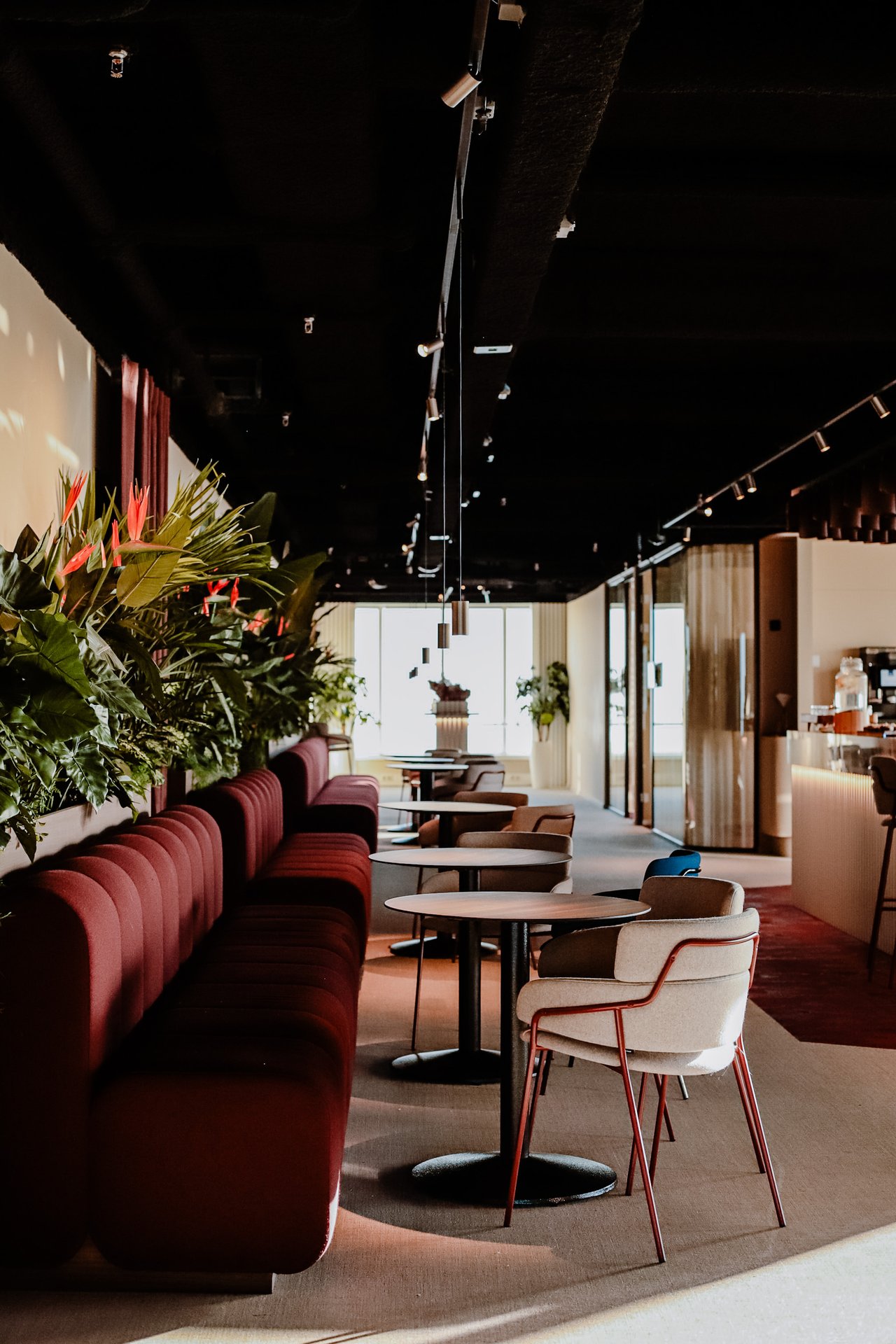 Meet Tuesday Lounge