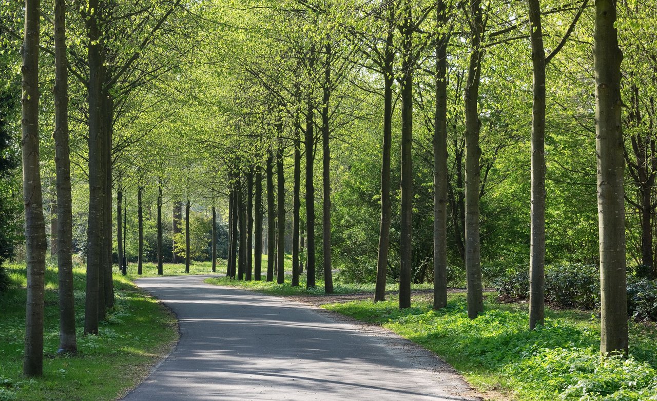Oranjerie-Hydepark---LR--66-
